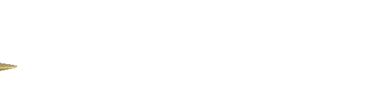 ARESGACOR logo